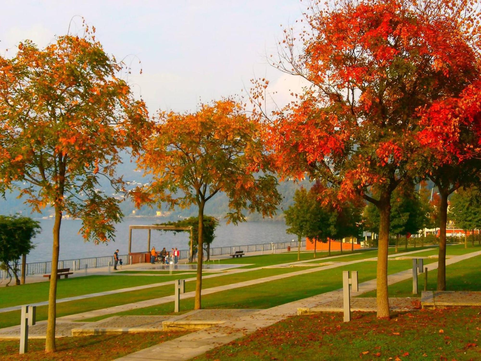 Lago Maggiore Holiday House, Lake View, Vignone Dumenza 외부 사진