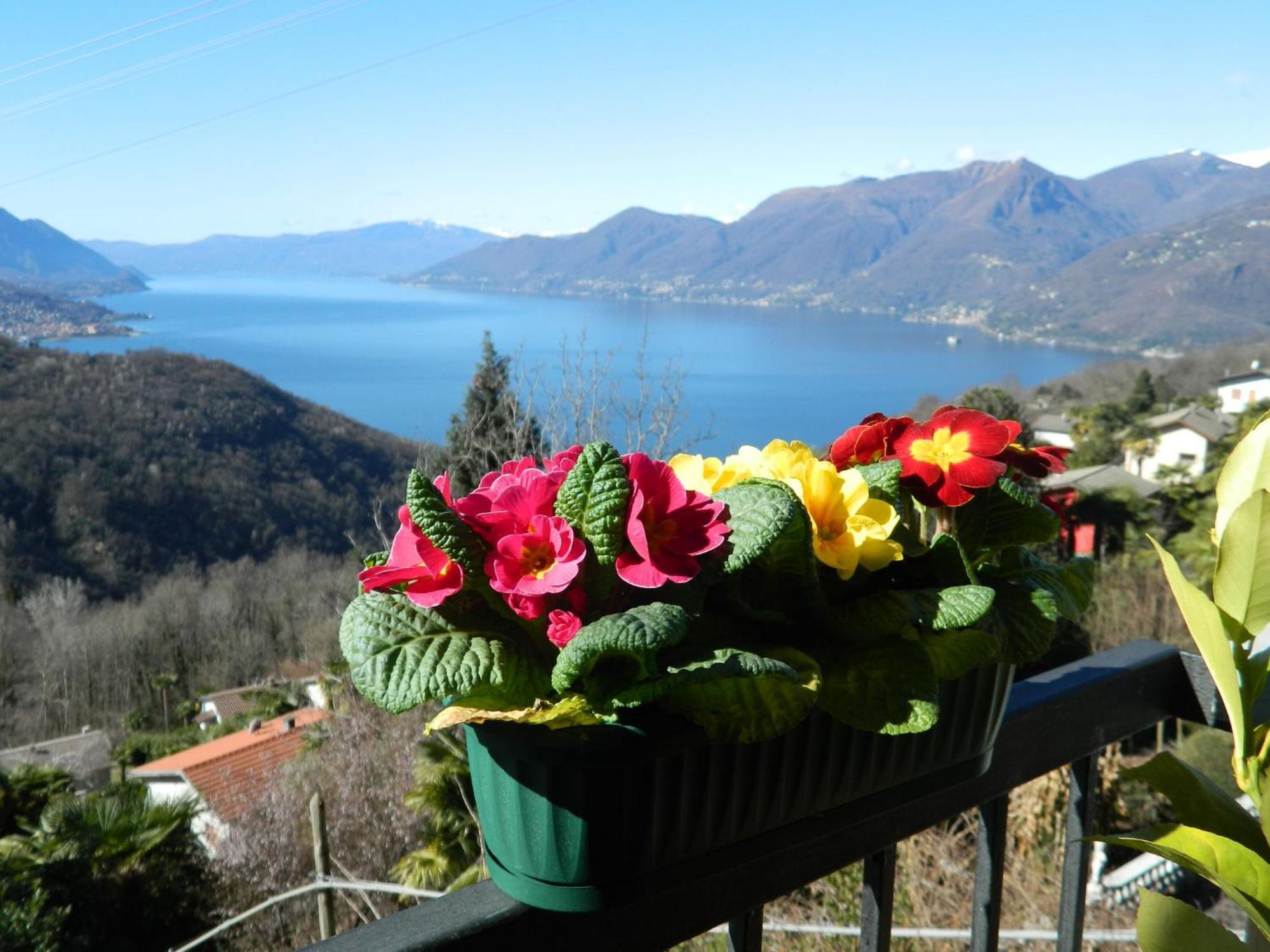 Lago Maggiore Holiday House, Lake View, Vignone Dumenza 외부 사진